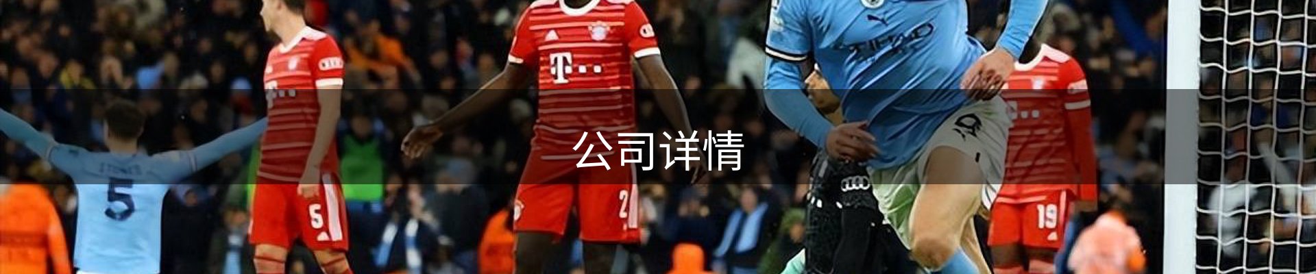 公司详情