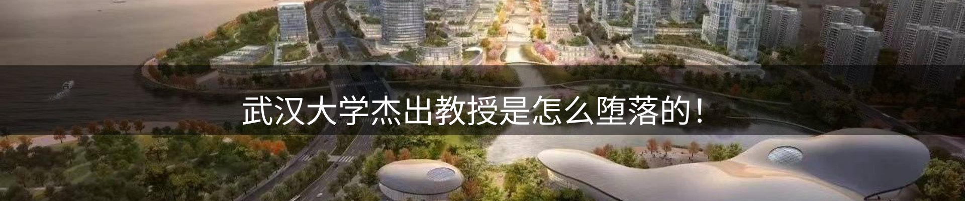 焦点摘要